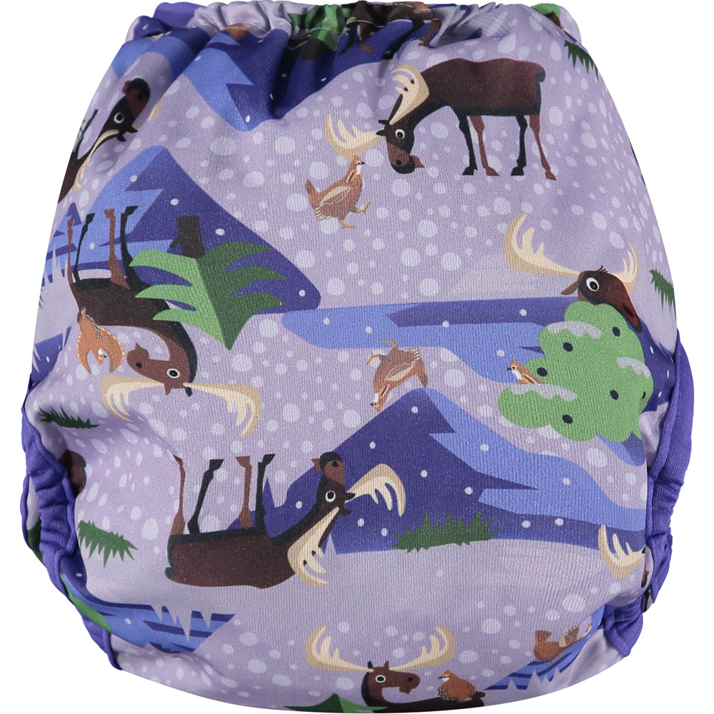 Pop-in Nappy Cover + Insert & Booster (Box of 10)