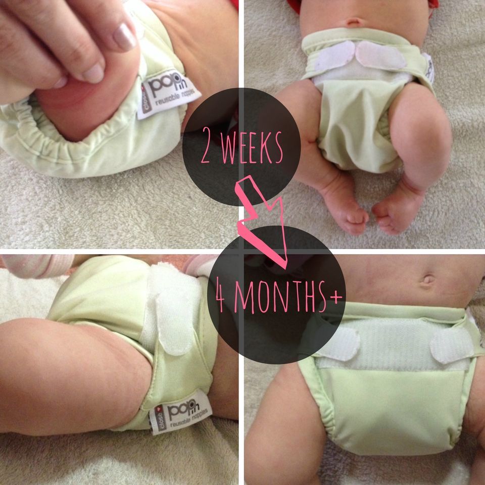 Pop in hot sale cloth diapers